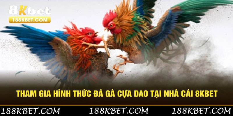 Tham gia hình thức cựa dao tốc độ, cuốn hút tại nền tảng